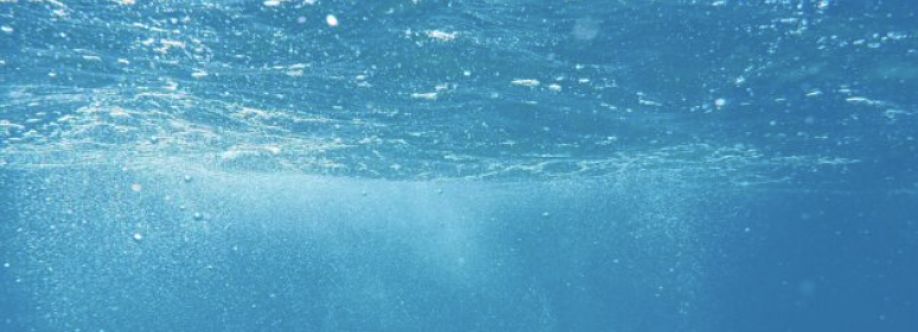 torogallego Cover Image