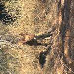 Javier Perez Profile Picture