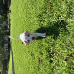 Iaanhdeez20 Profile Picture