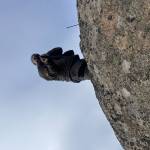 Ivan Alejo Profile Picture