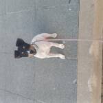 Rodrigo Martin Hernández Profile Picture