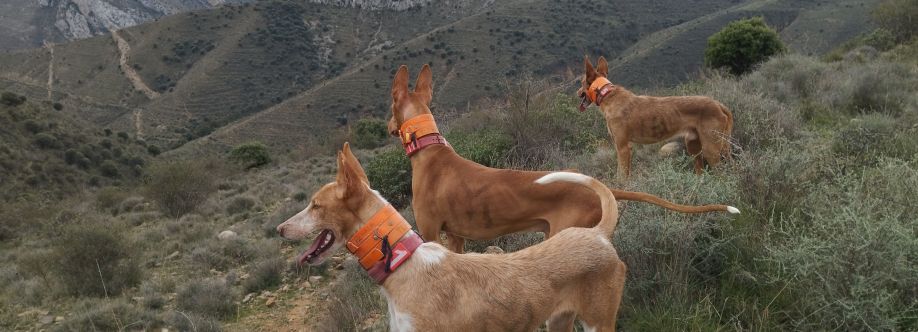 Raquel Monteyerga Cover Image