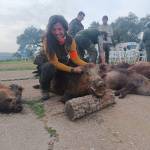 Mer Sánchez Rodríguez Profile Picture