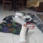 Ana Doblado Gómez Profile Picture