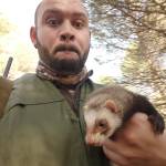 Pedro Rojo Profile Picture