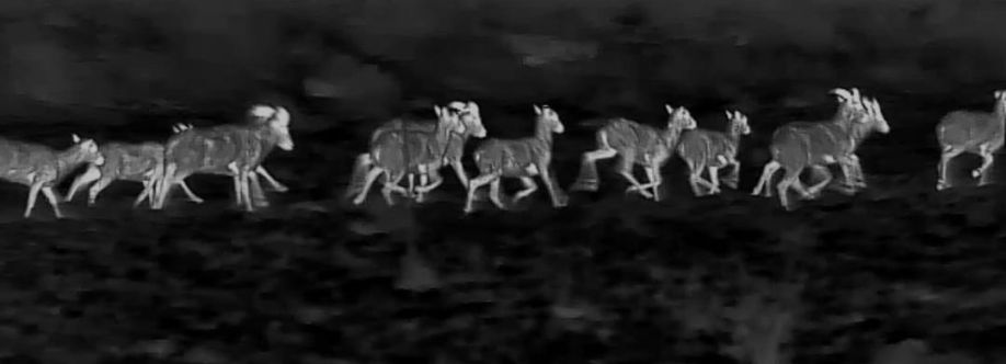 Alberto1977 Cover Image