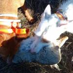 AUlzu Muñoz Profile Picture