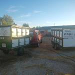 Rehalas El pelos profile picture