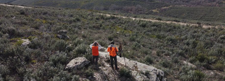 Caza Dron Cover Image