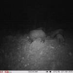 David Martinez Profile Picture