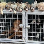 Juanjo González egido Profile Picture