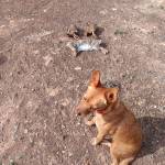 Sergio Jaime Profile Picture