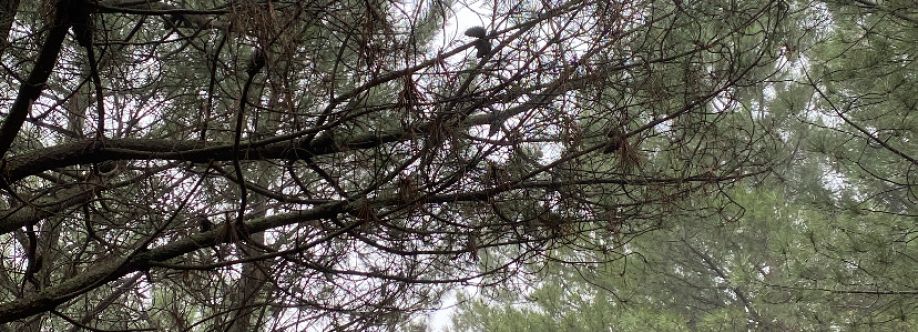 Marta Perez Cover Image