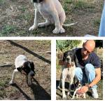 JOAQUIN RAMOS RODRIGUEZ Profile Picture