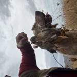 Andoni Larrauri Profile Picture