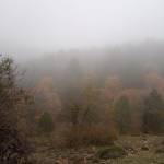 Antonio Rodriguez Profile Picture