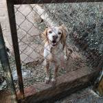 José Luis Peña Profile Picture