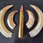 Pedro Antonio Avilés Pretel Profile Picture