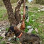 Marcos Martos Profile Picture