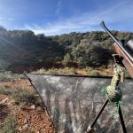 José luis Hernández alonso Profile Picture