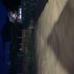 Rolando Cuevas Profile Picture