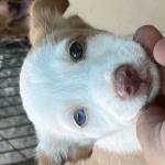 Marco P.A. Profile Picture